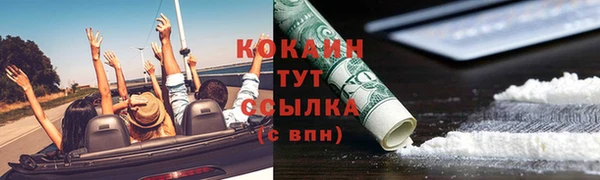хмурый Туринск