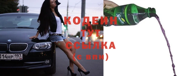 хмурый Туринск