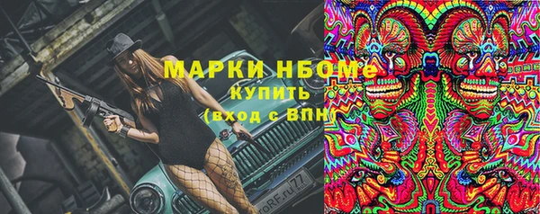 шишки Бикин