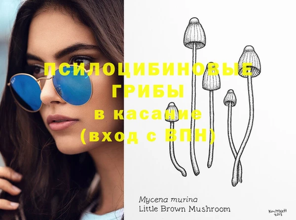 крисы Тобольск
