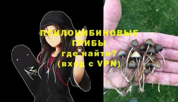 шишки Бикин