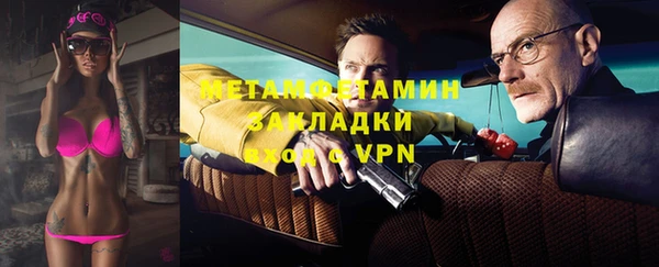 шишки Бикин