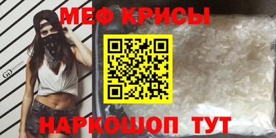 стаф Кингисепп