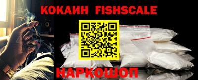 стаф Кингисепп