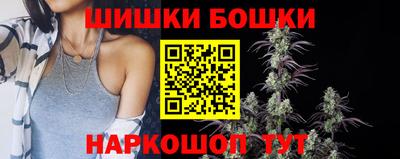 стаф Кингисепп