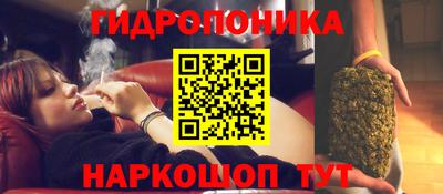стаф Кингисепп