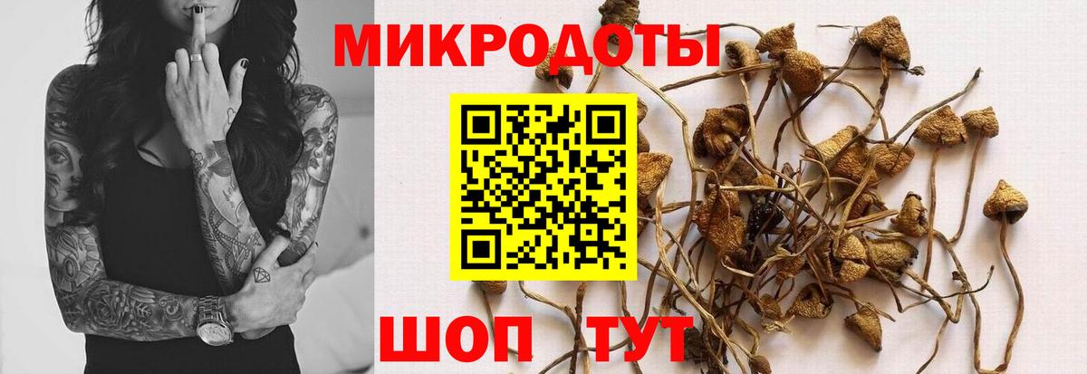 Галлюциногенные грибы Psilocybe  Галлюциногенные грибы Psilocybe  Вход с VPN  Ялта 